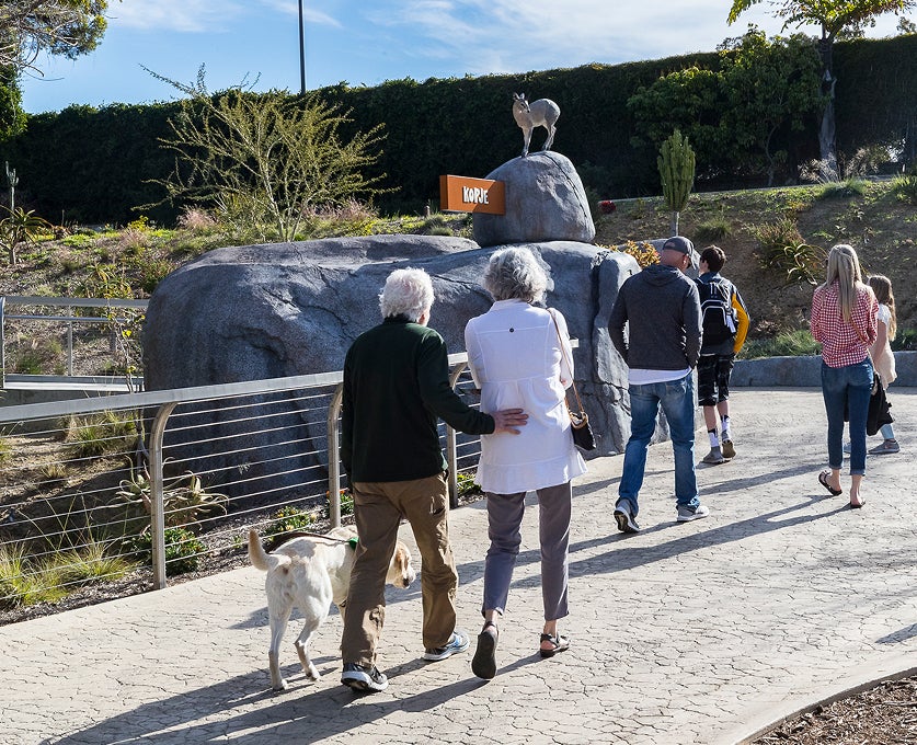 Guests walking through Africa Rocks.